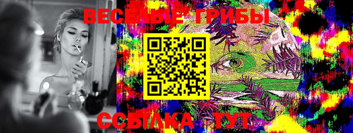 Астрахань  Галлюциногенные грибы мицелий  Вход с VPN  Псилоцибиновые грибы Psilocybine cubensis 