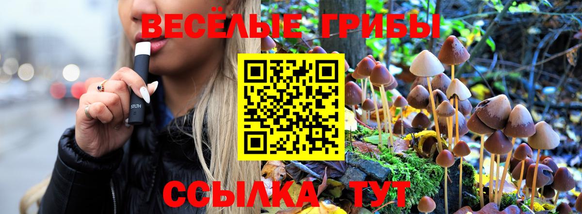 Галлюциногенные грибы мухоморы Астрахань